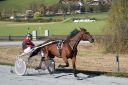 Dateiname=20161023_janine_106.jpg
Dateigröße=129KB
Abmessungen: 750x500
hinzugefügt am: 25. Oktober 2016 20161023_janine_106.jpg