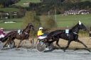 Dateiname=20161023_janine_123.jpg
Dateigröße=112KB
Abmessungen: 750x500
hinzugefügt am: 25. Oktober 2016 20161023_janine_123.jpg