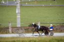 Dateiname=20161023_janine_130.jpg
Dateigröße=88KB
Abmessungen: 750x500
hinzugefügt am: 25. Oktober 2016 20161023_janine_130.jpg