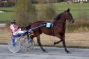 Dateiname=20161023_janine_142.jpg
Dateigröße=115KB
Abmessungen: 750x500
hinzugefügt am: 25. Oktober 2016 20161023_janine_142.jpg