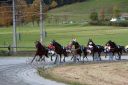 Dateiname=20161023_janine_150.jpg
Dateigröße=123KB
Abmessungen: 750x500
hinzugefügt am: 25. Oktober 2016 20161023_janine_150.jpg
