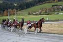Dateiname=20161023_janine_151.jpg
Dateigröße=123KB
Abmessungen: 750x500
hinzugefügt am: 25. Oktober 2016 20161023_janine_151.jpg