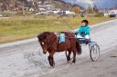 Dateiname=20161023_janine_170.jpg
Dateigröße=123KB
Abmessungen: 750x500
hinzugefügt am: 25. Oktober 2016 20161023_janine_170.jpg