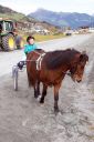 Dateiname=20161023_janine_192.jpg
Dateigröße=118KB
Abmessungen: 500x750
hinzugefügt am: 25. Oktober 2016 20161023_janine_192.jpg