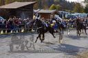 Dateiname=20131023_R04_074.jpg
Dateigröße=153KB
Abmessungen: 750x500
hinzugefügt am: 25. Oktober 2016 20131023_R04_074.jpg