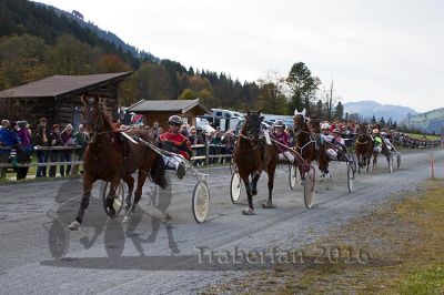 20131023_R05_036.jpg
