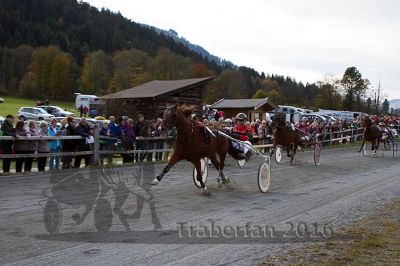 20131023_R05_078.jpg