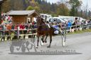 Dateiname=20131023_R07_012.jpg
Dateigröße=113KB
Abmessungen: 750x500
hinzugefügt am: 25. Oktober 2016 20131023_R07_012.jpg