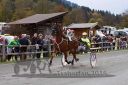 Dateiname=20131023_R07_017.jpg
Dateigröße=110KB
Abmessungen: 750x500
hinzugefügt am: 25. Oktober 2016 20131023_R07_017.jpg
