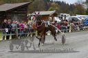 Dateiname=20131023_R07_019.jpg
Dateigröße=122KB
Abmessungen: 750x500
hinzugefügt am: 25. Oktober 2016 20131023_R07_019.jpg