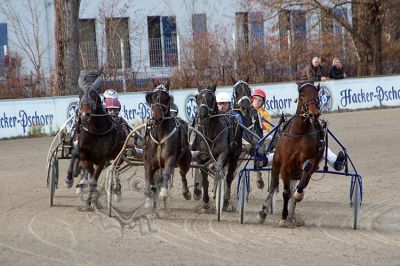 20161120_100Canon_011.jpg