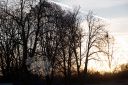 Dateiname=20161120_104Canon_023.jpg
Dateigröße=183KB
Abmessungen: 750x500
hinzugefügt am: 23. November 2016 20161120_104Canon_023.jpg