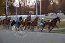 Dateiname=20161120_104Canon_027.jpg
Dateigröße=120KB
Abmessungen: 750x500
hinzugefügt am: 23. November 2016 20161120_104Canon_027.jpg