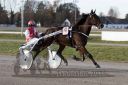 Dateiname=20161120_r03_021.jpg
Dateigröße=102KB
Abmessungen: 750x500
hinzugefügt am: 23. November 2016 20161120_r03_021.jpg