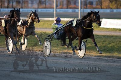 20161120_r05_072.jpg