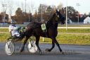 Dateiname=20161120_r05_003.jpg
Dateigröße=103KB
Abmessungen: 750x500
hinzugefügt am: 23. November 2016 20161120_r05_003.jpg