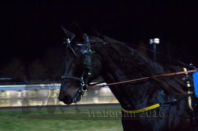 20161120_r09_007.jpg