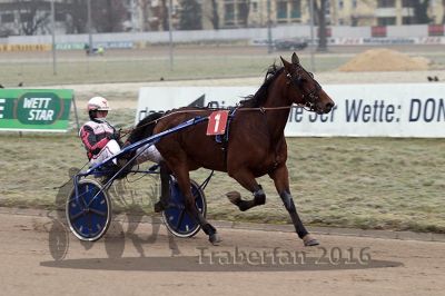 20161217_r01_040.jpg