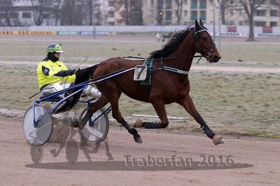 20161217_r02_021.jpg