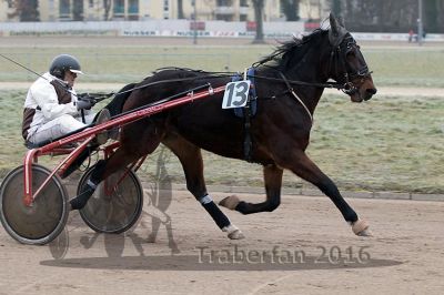 20161217_r03_036.jpg