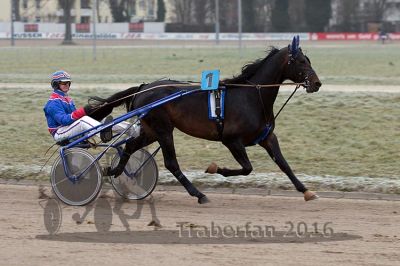20161217_r03_048.jpg