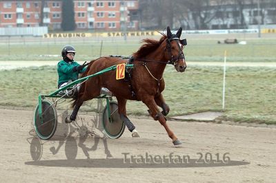20161217_r04_032.jpg