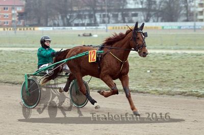20161217_r04_033.jpg