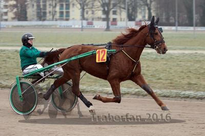 20161217_r04_035.jpg
