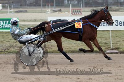 20161217_r04_041.jpg