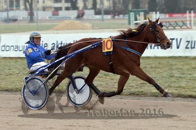20161217_r04_047.jpg