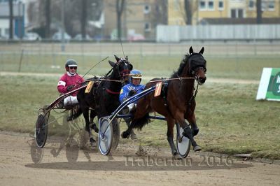 20161217_r05_049.jpg