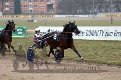 20161217_r07_063.jpg