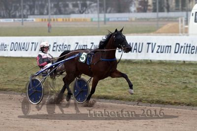 20161217_r07_065.jpg