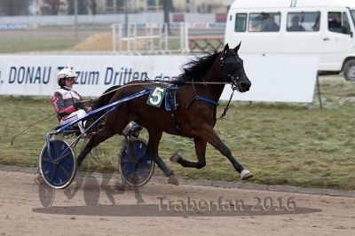20161217_r07_067.jpg