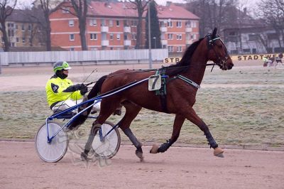 janine_20161217_026.jpg