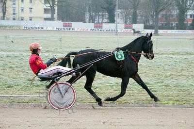 janine_20161217_031.jpg