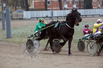 janine_20161217_050.jpg