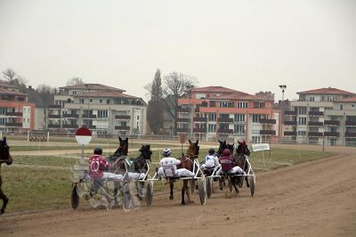 janine_20161217_154.jpg