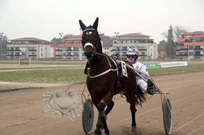 janine_20161217_167.jpg