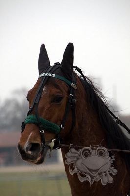janine_20161217_170.jpg