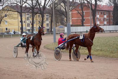 janine_20161217_171.jpg