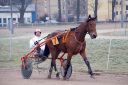 Dateiname=janine_20161217_053.jpg
Dateigröße=110KB
Abmessungen: 750x500
hinzugefügt am: 18. Dezember 2016 janine_20161217_053.jpg