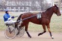 Dateiname=janine_20161217_073.jpg
Dateigröße=118KB
Abmessungen: 750x500
hinzugefügt am: 18. Dezember 2016 janine_20161217_073.jpg