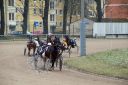 Dateiname=janine_20161217_139.jpg
Dateigröße=125KB
Abmessungen: 750x500
hinzugefügt am: 18. Dezember 2016 janine_20161217_139.jpg