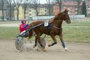 Dateiname=janine_20161217_162.jpg
Dateigröße=120KB
Abmessungen: 750x500
hinzugefügt am: 18. Dezember 2016 janine_20161217_162.jpg