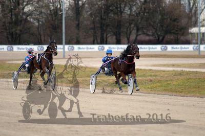 20161226_pqw_046.jpg