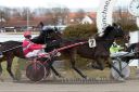 Dateiname=20161226_r01_068.jpg
Dateigröße=106KB
Abmessungen: 750x500
hinzugefügt am: 27. Dezember 2016 20161226_r01_068.jpg
