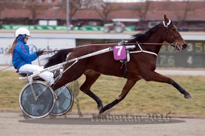 20161226_r02_025.jpg