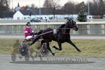 20161226_r04_078.jpg