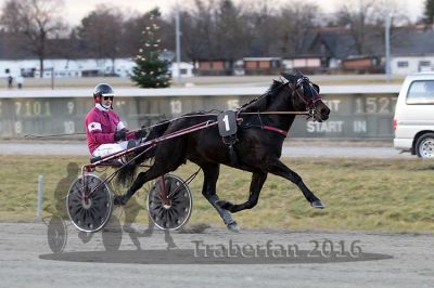 20161226_r04_079.jpg